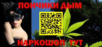 сатива Краснодар