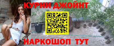 сатива Краснодар