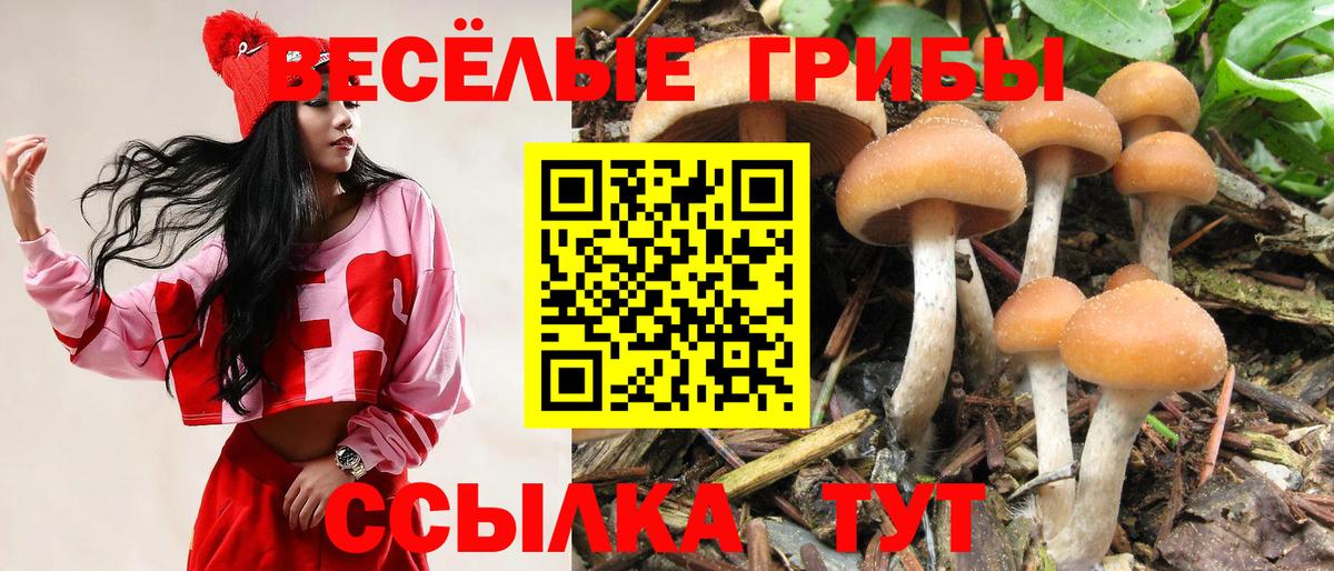 Галлюциногенные грибы MAGIC MUSHROOMS  Вход с VPN  где продают   Улан-Удэ  Галлюциногенные грибы Cubensis 