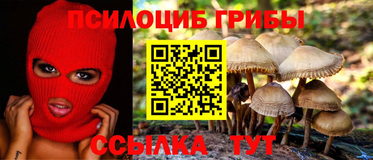Псилоцибиновые грибы MAGIC MUSHROOMS Улан-Удэ