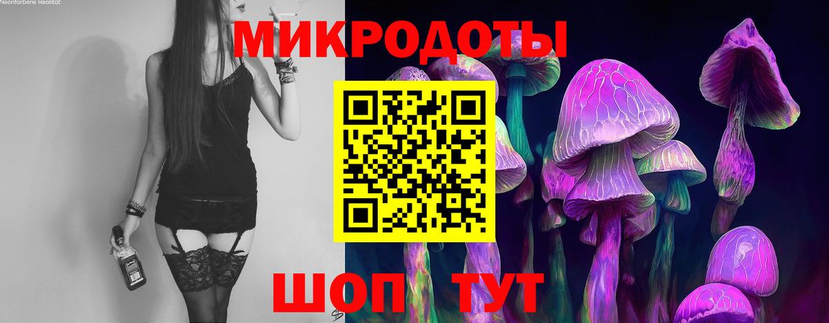 Псилоцибиновые грибы GOLDEN TEACHER  наркотики  Улан-Удэ 